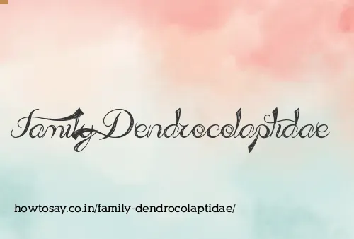 Family Dendrocolaptidae