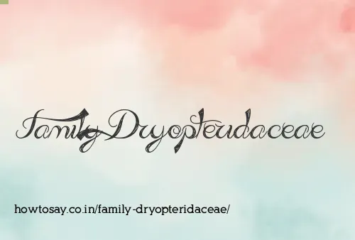 Family Dryopteridaceae