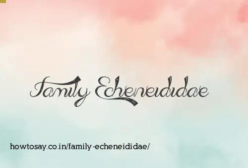 Family Echeneididae