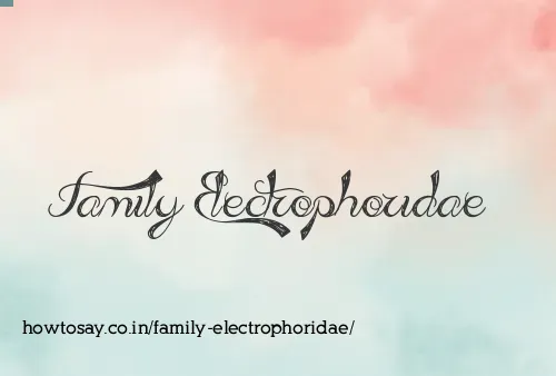 Family Electrophoridae