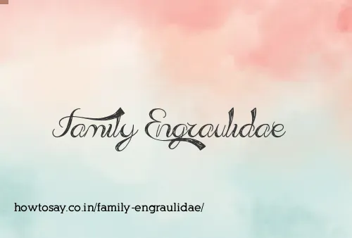 Family Engraulidae
