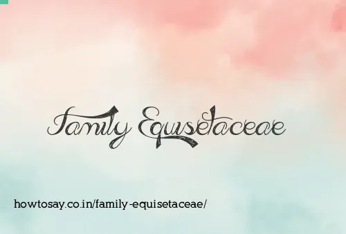 Family Equisetaceae