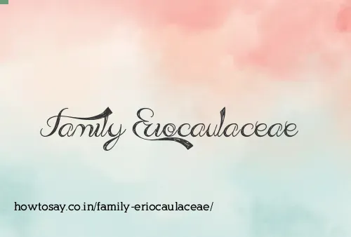 Family Eriocaulaceae
