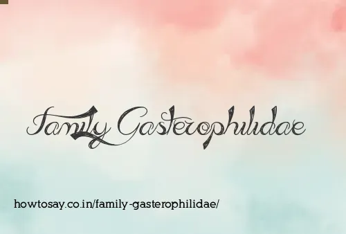 Family Gasterophilidae