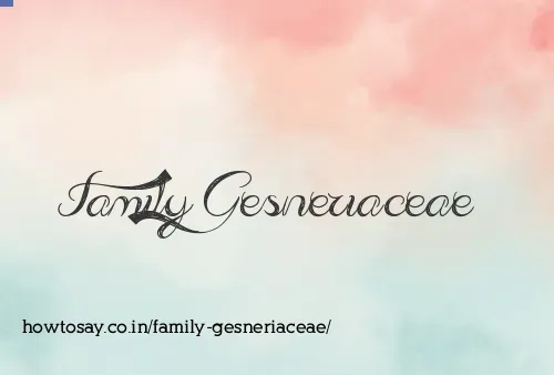 Family Gesneriaceae