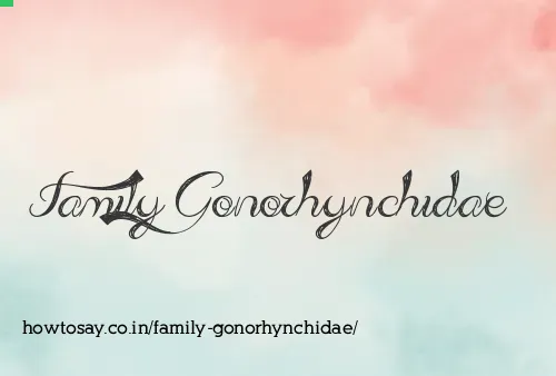 Family Gonorhynchidae