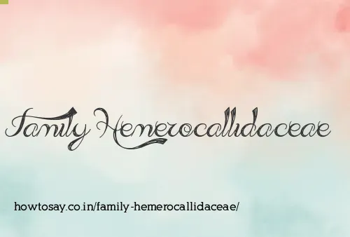 Family Hemerocallidaceae