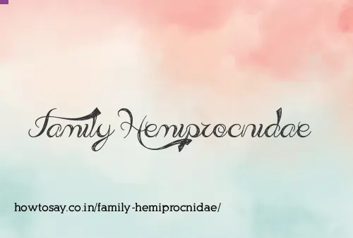 Family Hemiprocnidae