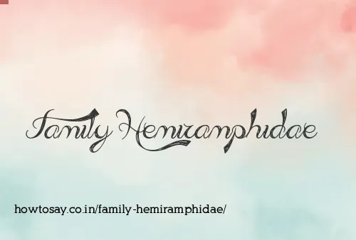 Family Hemiramphidae