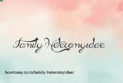 Family Heteromyidae