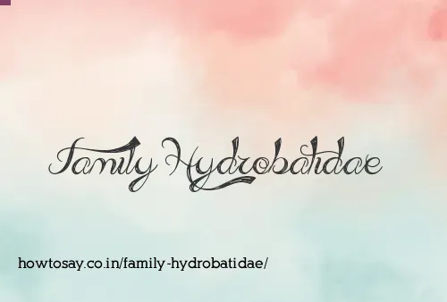 Family Hydrobatidae