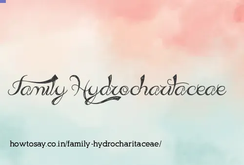 Family Hydrocharitaceae