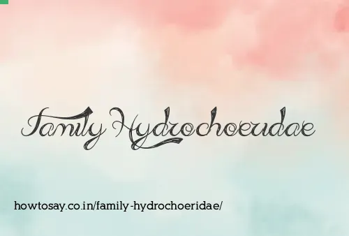 Family Hydrochoeridae