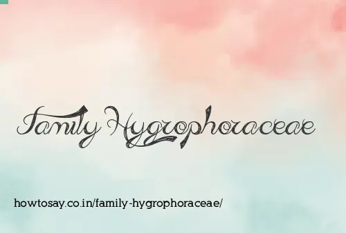 Family Hygrophoraceae