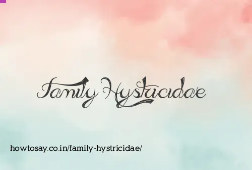Family Hystricidae