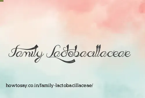 Family Lactobacillaceae