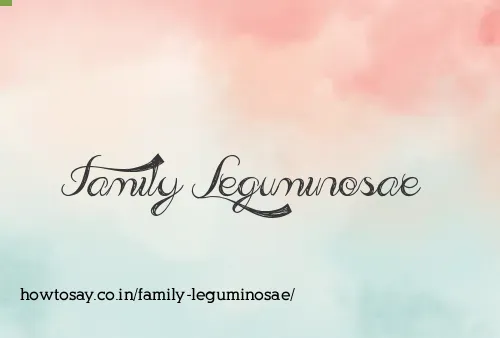Family Leguminosae