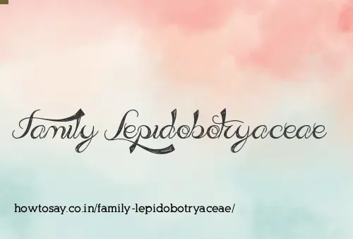 Family Lepidobotryaceae