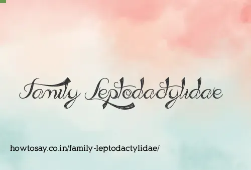 Family Leptodactylidae