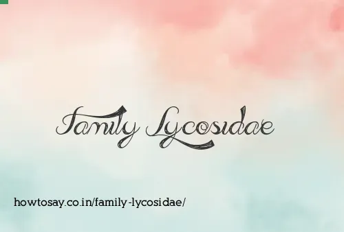 Family Lycosidae