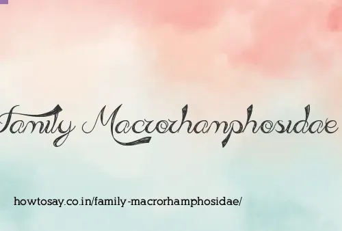 Family Macrorhamphosidae