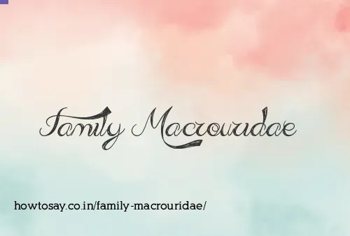 Family Macrouridae