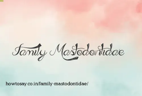 Family Mastodontidae