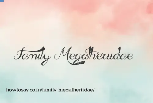 Family Megatheriidae