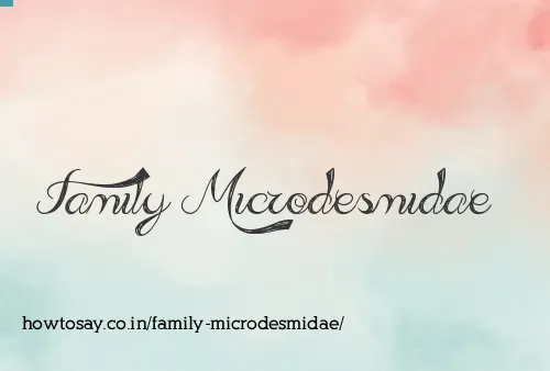 Family Microdesmidae