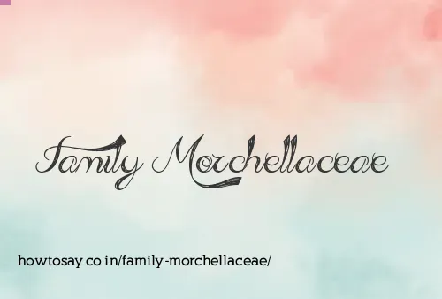 Family Morchellaceae