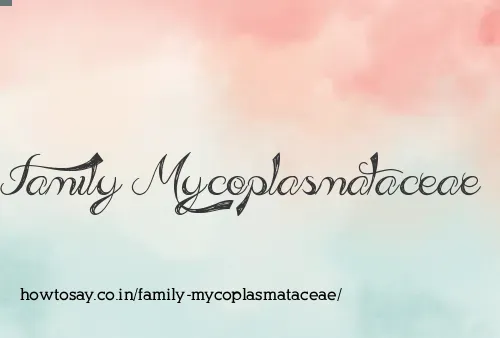 Family Mycoplasmataceae