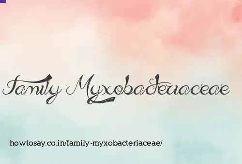 Family Myxobacteriaceae