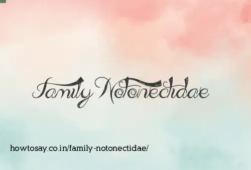 Family Notonectidae