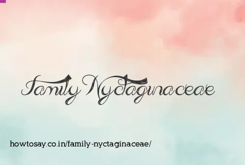 Family Nyctaginaceae