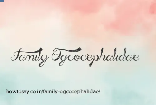 Family Ogcocephalidae