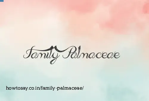 Family Palmaceae