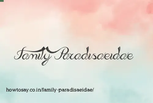 Family Paradisaeidae