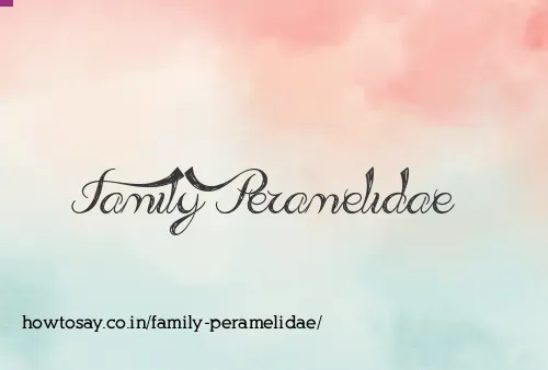 Family Peramelidae