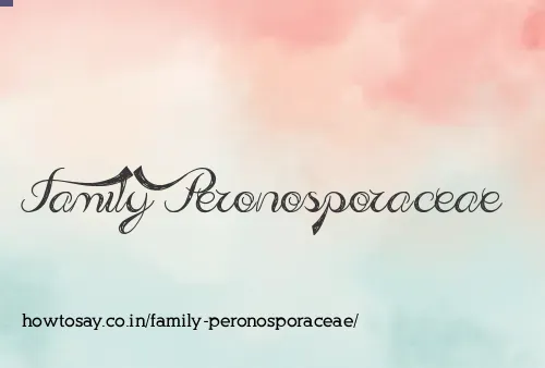 Family Peronosporaceae