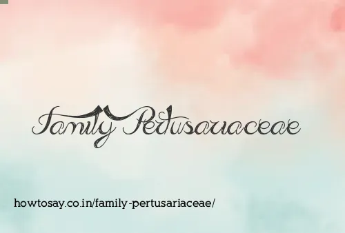 Family Pertusariaceae