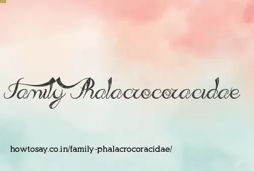 Family Phalacrocoracidae