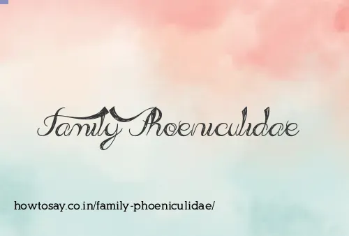 Family Phoeniculidae