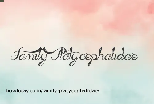Family Platycephalidae