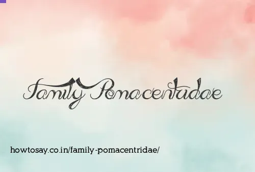 Family Pomacentridae