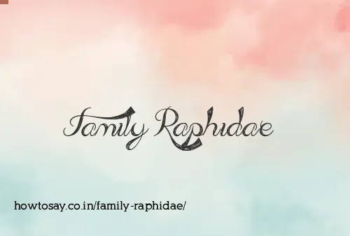 Family Raphidae