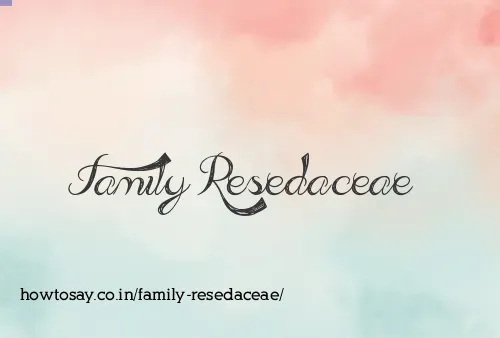 Family Resedaceae