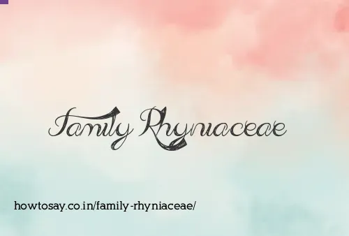 Family Rhyniaceae