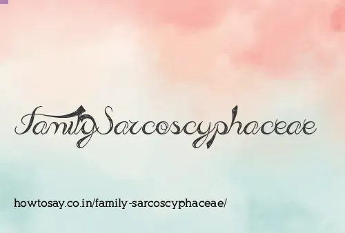 Family Sarcoscyphaceae