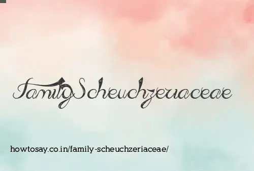 Family Scheuchzeriaceae