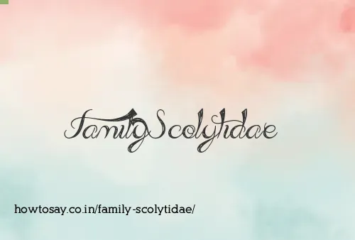 Family Scolytidae